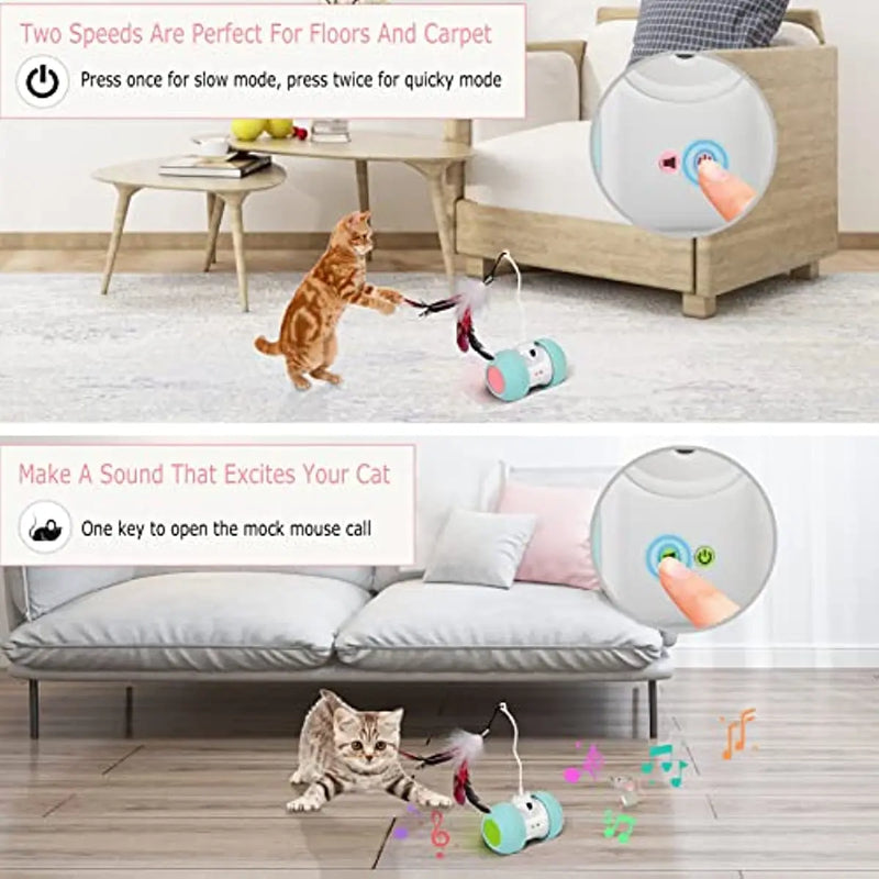 Interactive Cat Toy