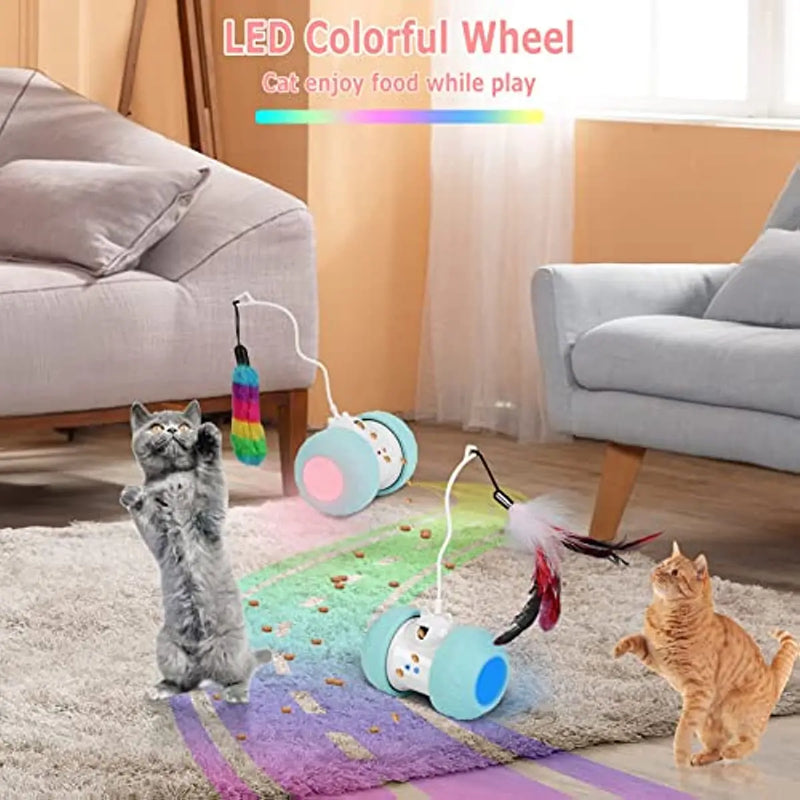 Interactive Cat Toy