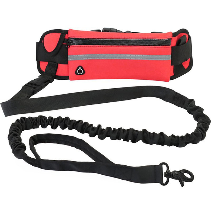 Reflective Hands-Free Dog Running Leash