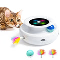 Interactive 2-in-1 Smart Pet Toy