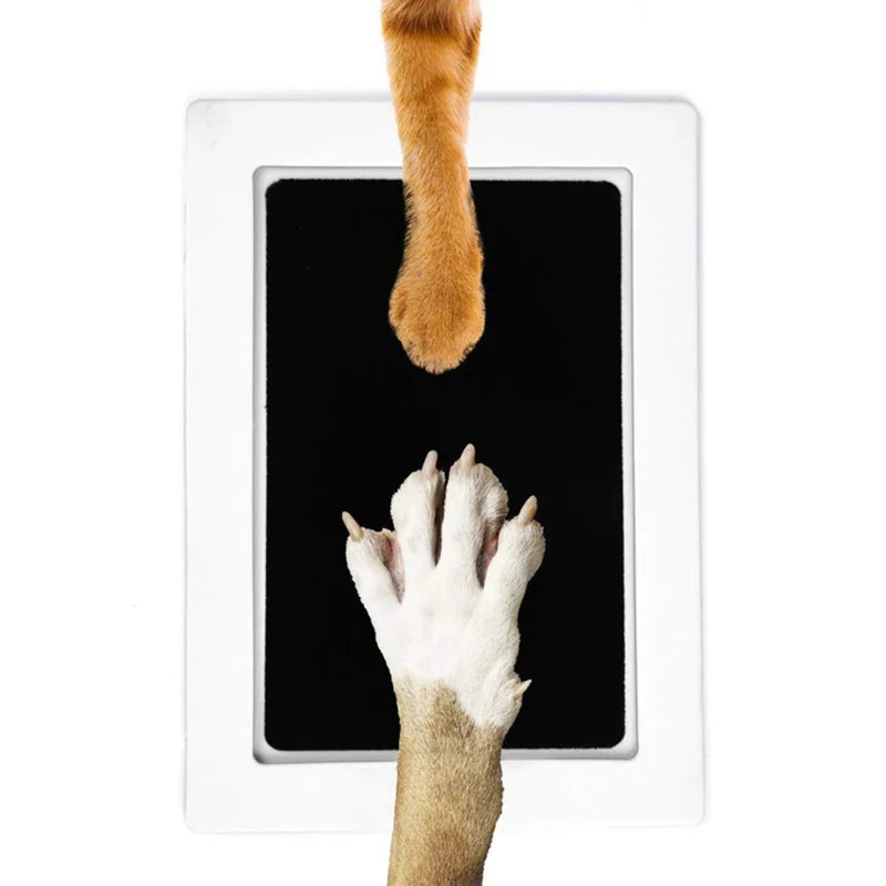 Non-Toxic Pet Paw Print Ink Pad